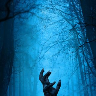a creepy tree in the middle of a forest with blue light coming from behind it Horror Background With Scary Monster Halloween Spooky Zombie, Spooky Background, Image Halloween, teal