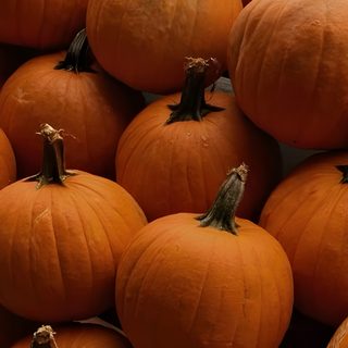 many orange pumpkins stacked on top of each other Halloween Pumkin Fall Ipad Widgets, Autumn Mac, Fall Long Widget, Pumpkin Banner, Mac Desktop, saddle brown