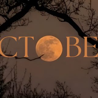 the words october are lit up in front of trees Halloween October Desktop November Widget, Gilmore Girl, Fall Mood Board, Fall Inspo, dark slate gray
