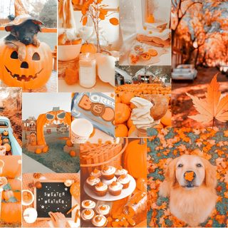 a collage of pictures with pumpkins and dogs Preppy Happy Halloween Autumn Party Inspiration, Autumn Pumpkin-themed Collage, Cozy Autumn Aesthetic, peru