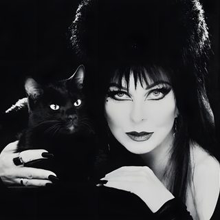 a woman holding a black cat in her arms Elvira Halloween Photo Of Elvira, Elvira Album Cover, Elvira Character, Goth Laptop, black