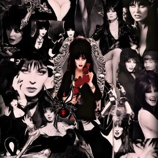 #elvira #wallpaperforyourphone #elvirawallpaper #goth #gothwallpaper Elvira Goth, Goth Women Wallpaper, Elvira Christmas Wallpaper, Horror Movie Phone Wallpaper, Elvira Wallpaper Iphone, Elvira Aesthetic, Goth Wallpapers, Elvira Background, Elvira Iphone Wallpaper Elvira Halloween Elvira Goth, Goth Women, Elvira Christmas, Horror Movie Phone, Elvira Iphone, black