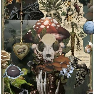 a collage with many different items including mushrooms, plants and other things in it Therian Halloween Averycore Aesthetic, Goblincore Tablet, Corvidcore Aesthetic, dark olive green