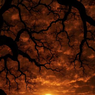 the sun is setting behind some trees in an orange and black sky with no leaves Halloween Sunrise Halloween Sunrise, Spooky Sunrise, Halloween Sunset Background, Spooky Sunset, maroon