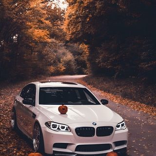 a white car parked on the side of a road surrounded by pumpkins Bmw Halloween Orange Bmw Car In Snow, Bmw Fall, Bmw Fall Background, Bmw Autumn, dark olive green