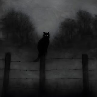 a black cat sitting on top of a fence next to a forest in the fog Creepy Black Cat Halloween Nyctophobia Art, Gothic Cat, Scary Black Cat Art, Haunted Cat,