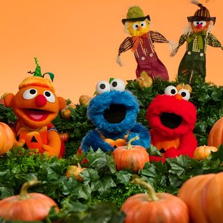 the sesame street characters are surrounded by pumpkins and kale leaves in front of an orange background Sesame Street Halloween Vintage Halloween Images, Halloween Images, Puppets, Halloween, sienna