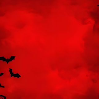 halloween pumpkins and bats against a red background Halloween Red dark red