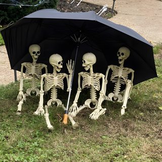 three skeletons sitting under an umbrella in the grass Halloween Funny Trio Skeleton Meme, Skeleton Friends Images, Skeletons Funny, Trio Skeleton, dim gray