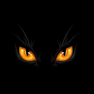 an orange cat's eyes are glowing in the dark, with bright yellow irises Halloween Eye black