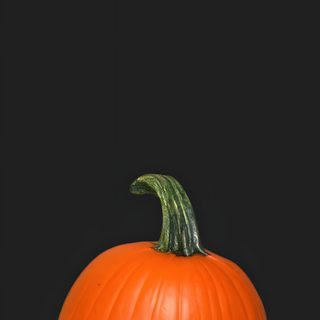 a pumpkin sitting on top of a man's head in a suit and tie Dwight Halloween The Office Dwight, The Office Characters, The Office Show, Halloween Backgrounds, black