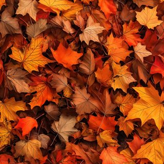 many different colored leaves on the ground Halloween Iphone Aesthetic Orange Fall Leaf Background, Fall Leaves Background Aesthetic, Fall Leaves Nature Background, saddle brown