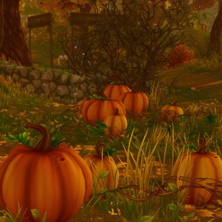 several pumpkins sitting in the grass next to a tree Star Stable Halloween 4k Star Stable Halloween Background, Autumn Star Stable Background, Star Stable Backgrounds, saddle brown