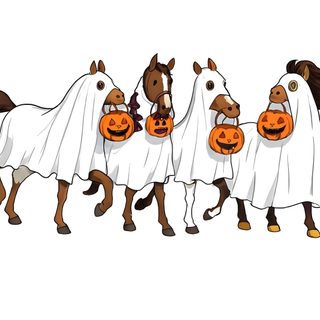 three horses wearing ghost costumes and holding pumpkins Cute Halloween Horse Horse Designs, Horses, Design, white
