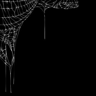a black and white photo with lines in the shape of a horse's head Halloween Spider Webs Spider Web Effect, Spider Sense Effect, Spider Web Transparent, Moving Overlay, black