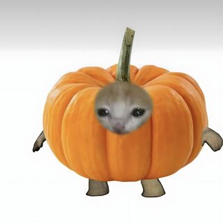 an animal that is inside of a pumpkin Funny Halloween Pumpkin Autumn Reaction Meme, Autumn Reaction Pics, Cat With Fruit On Head, gainsboro