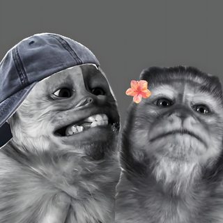 two monkeys wearing hats and one has a flower in its mouth while the other looks up Halloween Monkey Future Iphone, Monkey Pictures, Instagram My Story, Cute Monkey, Dark, Funny Art, dim gray