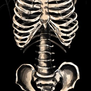 a skeleton is sitting in the middle of a web Halloween X-ray - Tan & Black Ipad Skeleton, Skeleton With Webs, Skeleton Ipad, Iphone Skeleton,