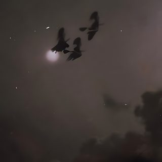 three birds flying in the night sky with stars and clouds behind them on a cloudy day Lock Screen Edgy Aesthetic Halloween Vintage Witch Aesthetic, Iphone Dark Witch, Moonlight Walk, dark slate gray