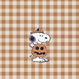 a snoopy dog with a pumpkin on it's chest is standing in front of a checkered background Preppy Halloween Snoopy Fall Halloween Iphone, Fall Cute, Fall Halloween, Snoopy Fall, Snoopy Fall Pfp, tan