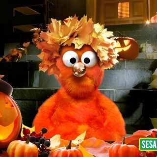 the sesame street show is coming to an end on halloween night, and it's time Elmo Halloween Harry Monster Sesame Street, Sesame Street Computer, Elmo Monster, saddle brown