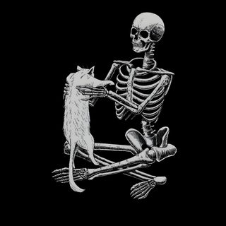 a skeleton sitting on the ground with a cat in it's lap, and holding its paw up Halloween Skeleton Cat Avenged Sevenfold, Emo, Gothic, Witchy, Skeleton Art, Skull, black