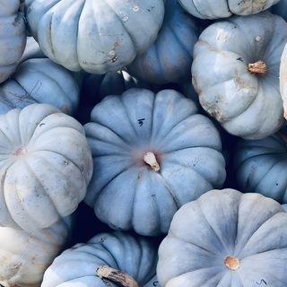 many blue pumpkins are stacked up together Pastel Blue Halloween Pastel Blue Halloween Aesthetic, September Blue, Blue Fall Pictures, dark gray