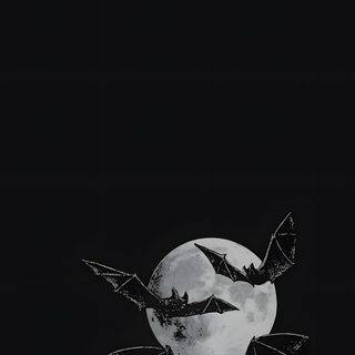 bats flying over the moon in black and white Halloween Bat Iphone Bat And Moon Pattern, Goth Bat, Bat Aesthetic Dark, Bat Silhouette, black