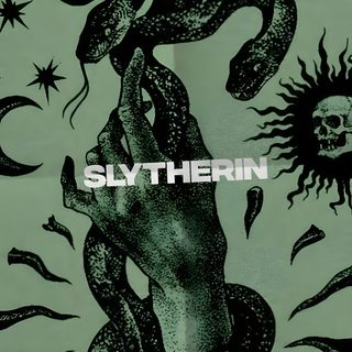 the cover art for slytherin's album, which features an image of a hand holding a snake Slytherin Halloween Snake Backgrounds, Harry Potter Slytherin, Slytherin Posters, Slytherin Iphone, gray