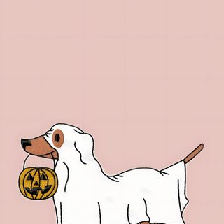 a white dog with a pumpkin in its mouth on a pink background that says happy halloween Dog Halloween Aesthetic Badge Buddy, Fall Dachshund Background, Weenie Dogs, Paws And Claws, light pink