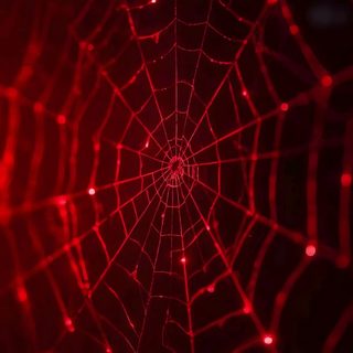 a spider web with red lights in the background Spider Halloween Iphone Red Spider, Cosas Rojas, Red Bedding, Background Red Spider Web, black