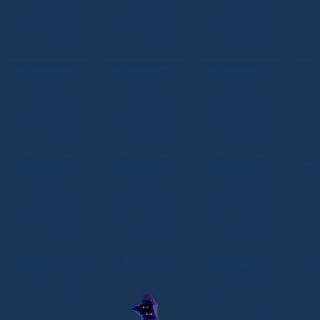 an image of a cat with glowing eyes in the dark night sky, looking out from behind some purple flowers Kpdh Halloween Demon Hunter Band, Watch, Collaborative Art, Cute Cartoon Characters, dark slate gray