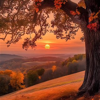 the sun is setting behind a tree on top of a hill with fall foliage in front of it Halloween Sunrise Fall Sunrise Pictures, Autumn Sunrise, Beautiful Fall Sunset, saddle brown