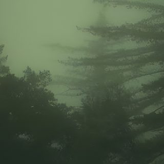 trees in the fog on a gloomy day Halloween Not Blurry Dark Green Aesthetic Macbook, Vintage Dark Green Aesthetic Laptop, Dark Green Foggy Background, dark slate gray