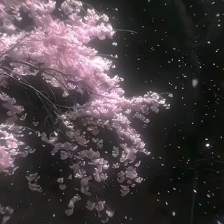 pink flowers are blooming in the dark night sky with snow flakes on them Pink Halloween Gif Cute Laptop, Pretty Landscapes, Dark Nature Aesthetic, Aesthetic Gif, dark slate gray