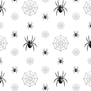 black and white spider webs on a white background seamless wallpaper pattern stock photo Halloween White Background Spider Cute,