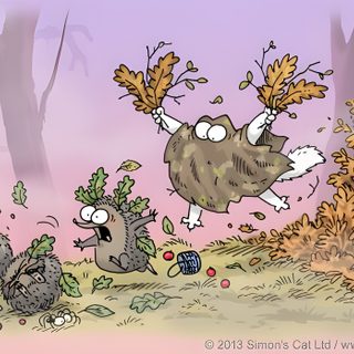 an animal chasing another animal in the woods with leaves on its head and legs, Simons Cat Halloween Hd Simons Cat Halloween, Simons Cat Halloween Background, Simons Cat Halloween Background Hd, silver