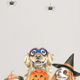 three dogs wearing halloween costumes with spider webs in the sky behind them, and one dog dressed up as a jack - o - lantern Dog Halloween Iphone Halloween Background With Dog, Halloween Dachshund, Halloween Dog Background, gainsboro