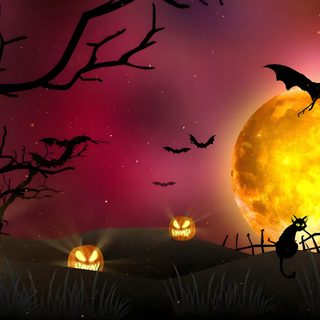 halloween scene with pumpkins and bats in front of a full moon Halloween Live Pc Cartoon Intro Template, Horror Animation Background, Halloween Aesthetic Gif, maroon