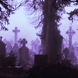 a cemetery with tombstones and trees in the fog Purple Halloween Laptop Goth Laptop, Evil Girl, Purple Goth, Evil World, Goth, dark slate gray