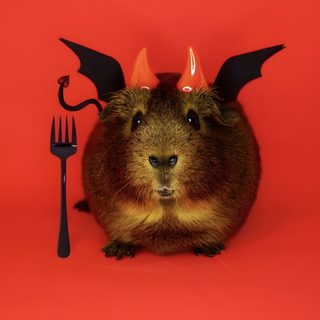 a close up of a animal with horns on its head near a fork and knife Halloween Guinea Pig Guinea Pig Skull, Guinea Pig In Red Costume, Guinea Pig In A Costume, firebrick