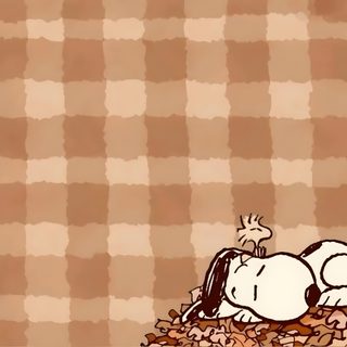 a peanuts cartoon laying on top of a pile of leaves next to a brown and white checkered wall Snoopy Halloween Ipad dark salmon