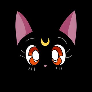 a black cat with pink ears and orange eyes on it's face in the dark Sailor Moon Halloween Samsung Watch 7, Sailor Moon Luna, Sailor Moon Black Cat, Luna Sailormoon,
