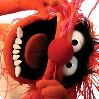 an orange stuffed animal with big eyes and pink feathers on it's head, standing in front of a white background Muppets Halloween Animal Muppet, Miss Piggy, The Muppet Show, Go, Jim Henson, Foto Divertenti, chocolate