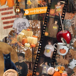 a collage of pictures with pumpkins, leaves and other things Sturniolo Halloween Thanksgiving Aesthetic Laptop, Cute Fall Collage Laptop, Aesthetic Fall Collage Laptop, sienna