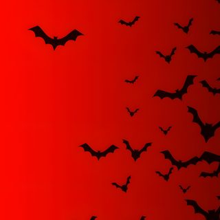 a flock of bats flying across a red sky Red Halloween Aesthetic Red Halloween Iphone, Red And Black Halloween, Red And Black Halloween Background, firebrick