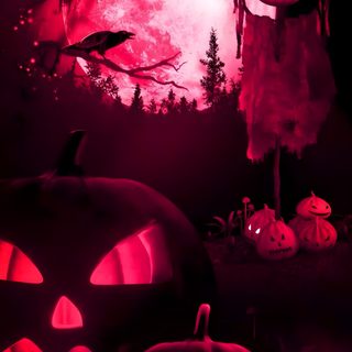 two carved pumpkins in front of a full moon Red Halloween Aesthetic Halloween Moving, Moving Halloween, Halloween Video, Live Halloween Iphone, black
