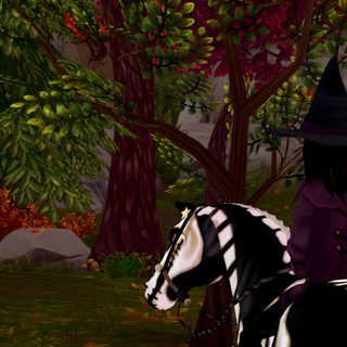 a black and white horse with a witch hat on it's head in the woods Star Stable Halloween 1920x1080 Halloween Horse, Star Stable Backgrounds, Autumn Star Stable Background, black