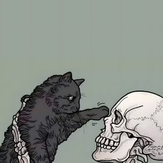 a black cat sitting on top of a human skull next to a skeleton with its paw in it's mouth Kitty Skeleton Halloween Cats Skeleton And Dog, Skeleton Phone Aesthetic, Animal Skeleton, dark gray