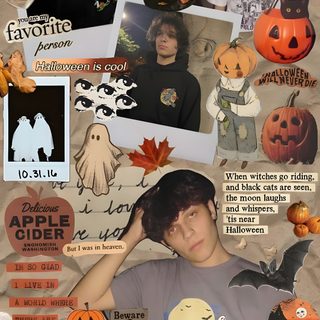 a collage of halloween pictures with pumpkins and other things on it, including an orange jack - o - lantern Sturniolo Halloween Halloween Cider, Giant Pumpkin, October Halloween, You Are My Favorite, gray